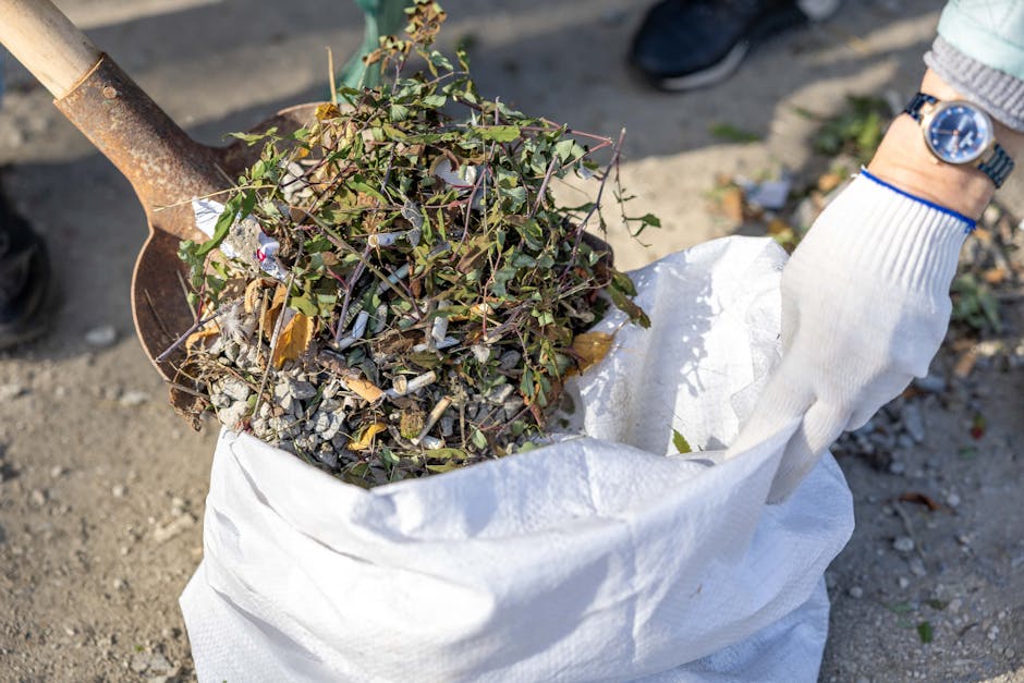 A person standing outdoors on a grassy area, wearing a grey and yellow checkered shirt over a green t-shirt, with light green rubber gloves. They are holding open a large black garbage bag made of glossy plastic, with the bag’s top edges folded outward. The scene suggests a waste collection or rubbish removal activity, supported by the presence of the gloves and the open waste bag. The background features green grass, indicating the activity is taking place in a garden or park setting, with natural lighting illuminating the scene evenly. The individual’s stance and grip on the bag demonstrate readiness to collect or dispose of waste efficiently, reflecting a typical environment where private or independent waste clearance services, such as those offered by wasteclearancebelgravia.co.uk, might operate in a professional and unobtrusive manner.